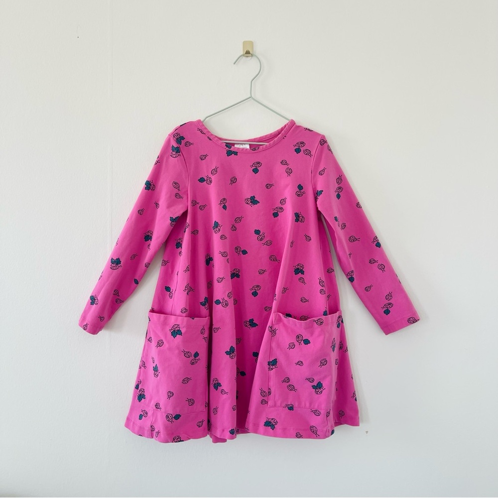 Hanna Andersson Pocket Swing Dress